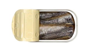 Sardinhas em Óleo Picante